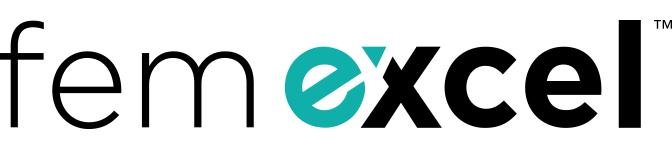 Fem Excel logo